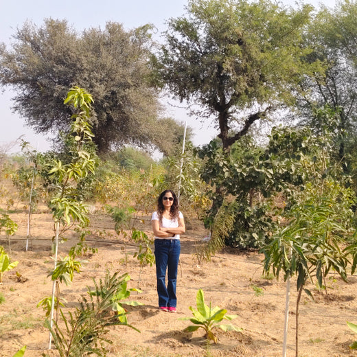 Trees for Tomorrow: Girnar Soft’s Sustainable Agriculture Initiative – 6 months