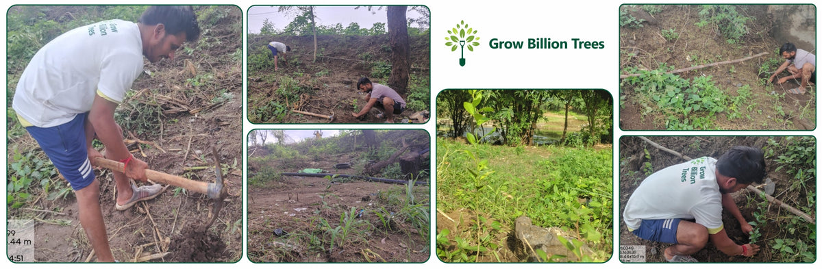 Trees of Love: Aradhana’s Gift to Gokul and the Planet