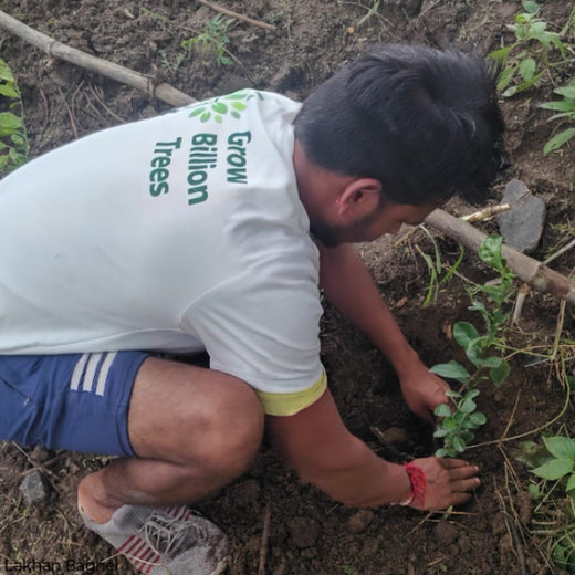 Trees of Love: Aradhana’s Gift to Gokul and the Planet – Planting