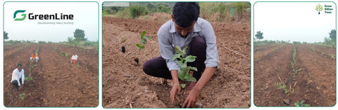 Sustainability Meets Celebration: GreenLine’s Tree Plantation for Employee Birthdays