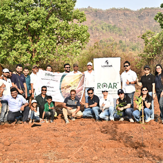 Group Landmark’s ROAR: Driving CSR Through Agroforests – Planting