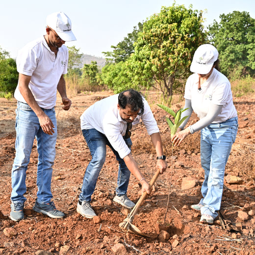 Group Landmark’s ROAR: Driving CSR Through Agroforests – Planting