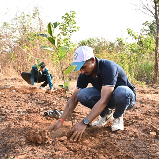Group Landmark’s ROAR: Driving CSR Through Agroforests – Planting