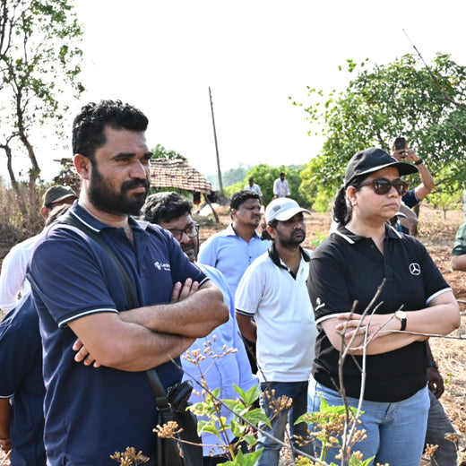 Group Landmark’s ROAR: Driving CSR Through Agroforests – Planting