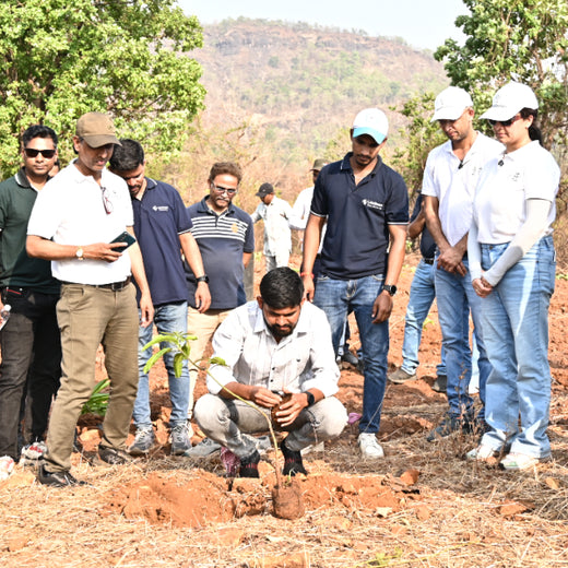 Group Landmark’s ROAR: Driving CSR Through Agroforests – Planting