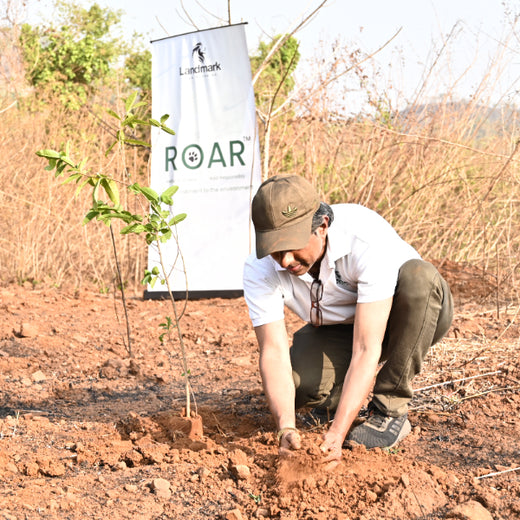 Group Landmark’s ROAR: Driving CSR Through Agroforests – Planting