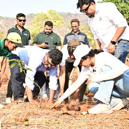 Group Landmark’s ROAR: Driving CSR Through Agroforests – Planting