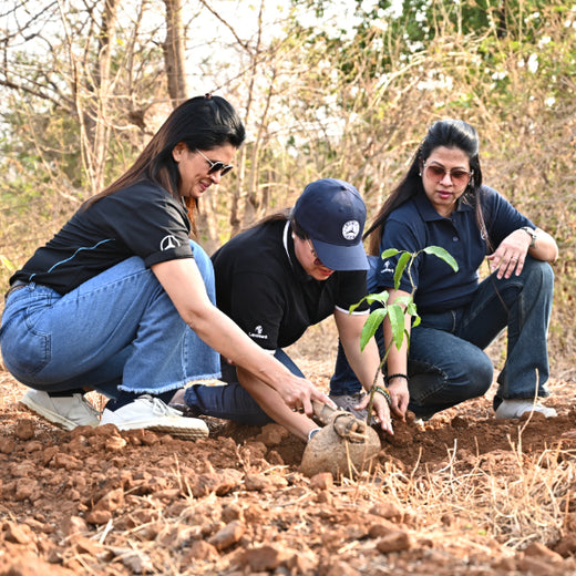 Group Landmark’s ROAR: Driving CSR Through Agroforests – Planting