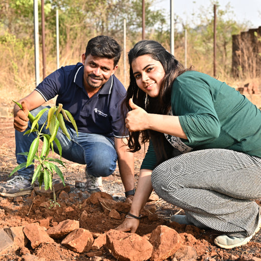Group Landmark’s ROAR: Driving CSR Through Agroforests – Planting