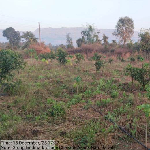 Group Landmark’s ROAR: Driving CSR Through Agroforests – 2 years