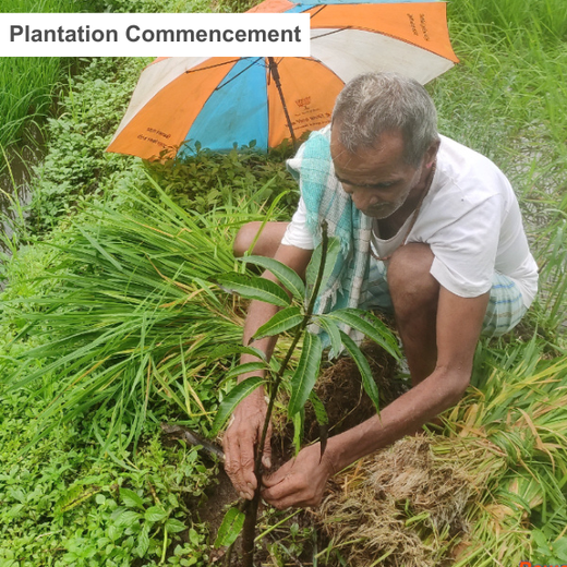 Group Landmark’s ROAR: Driving CSR Through Agroforests – 6 months
