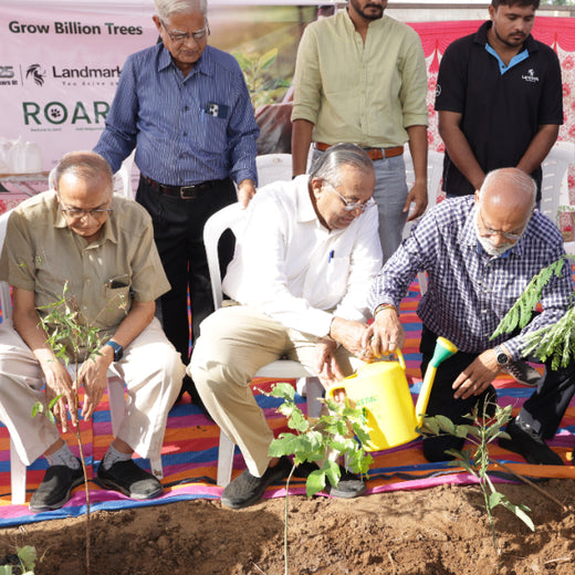 Group Landmark's ROAR (Reduce to Zero, Add Responsibility) Initiative: Miyawaki Forests – 6 months