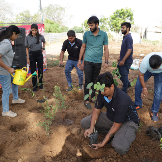 Group Landmark's ROAR (Reduce to Zero, Add Responsibility) Initiative: Miyawaki Forests – 6 months