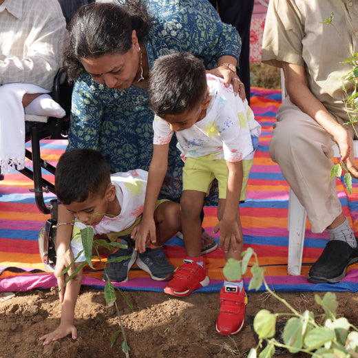 Group Landmark's ROAR (Reduce to Zero, Add Responsibility) Initiative: Miyawaki Forests – 6 months