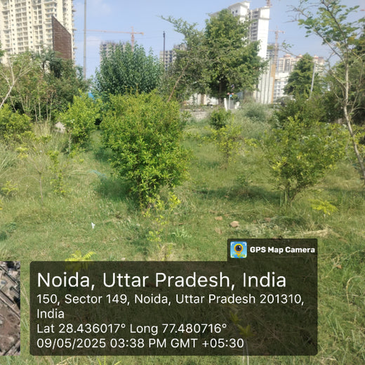 Celebrating Growth: Group of Friends Club's Women's Day Tree Planting – 1 year