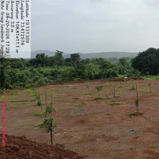 Group Landmark’s ROAR: Driving CSR Through Agroforests – 3 years