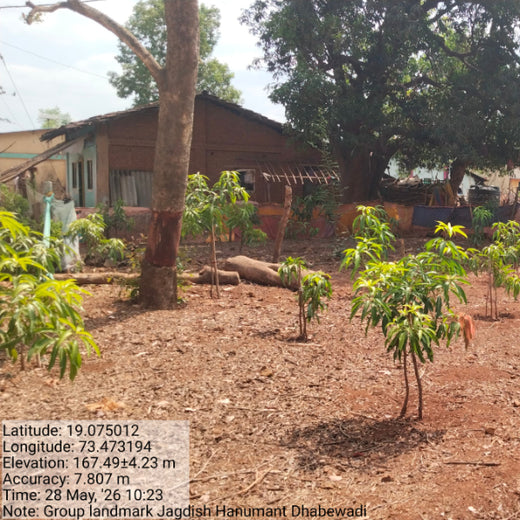 Group Landmark’s ROAR: Driving CSR Through Agroforests – 2 years
