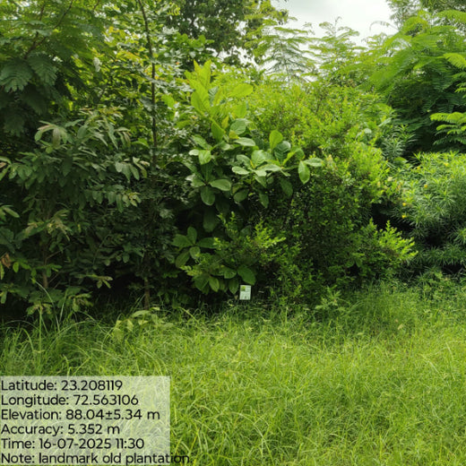 Group Landmark's ROAR (Reduce to Zero, Add Responsibility) Initiative: Miyawaki Forests – 2 years