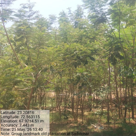 Group Landmark's ROAR (Reduce to Zero, Add Responsibility) Initiative: Miyawaki Forests – 3 years