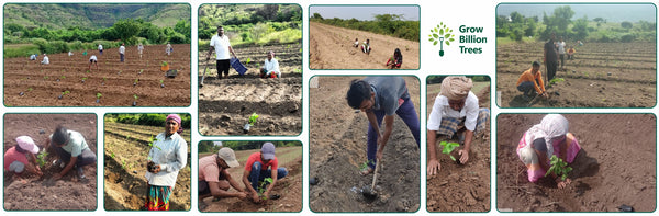 Celebrating Biodiversity at Habitat India - Planting Trees For Visitors