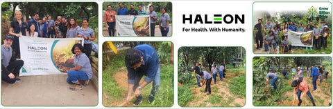 A Healthier Tomorrow Starts Today: Haleon Global's Effort to Enhance Urban Greenery