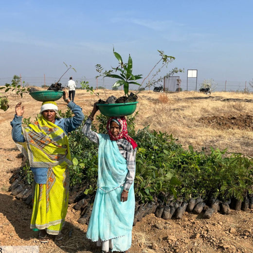 Project Aranyam by Pack8: Growing a Sustainable Community Forest – 6 months