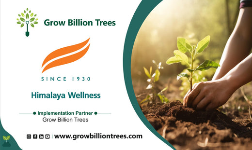 Care for Earth in Action: Himalaya’s Path to Community Forest – 6 months