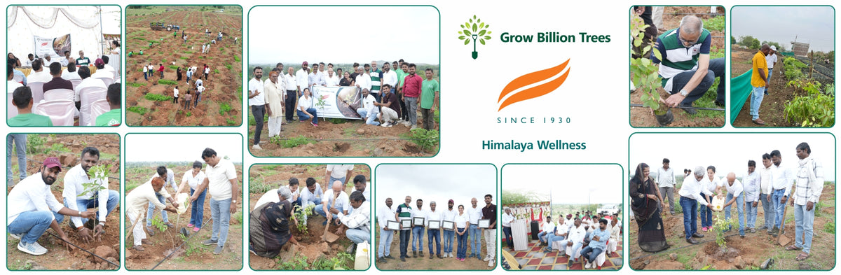 Care for Earth in Action: Himalaya’s Path to Community Forest