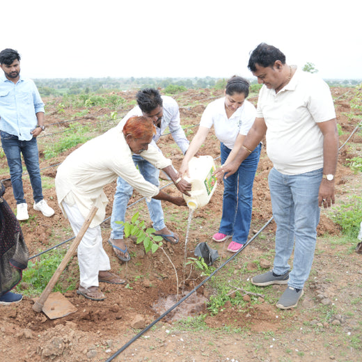 Care for Earth in Action: Himalaya’s Path to Community Forest – 6 months