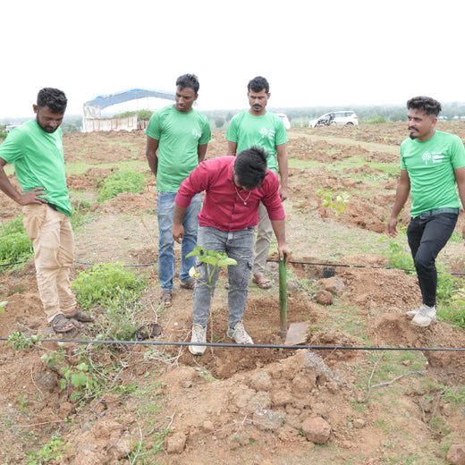 Care for Earth in Action: Himalaya’s Path to Community Forest – 6 months