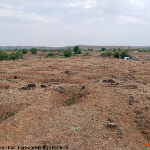 Care for Earth in Action: Himalaya’s Path to Community Forest – Planting