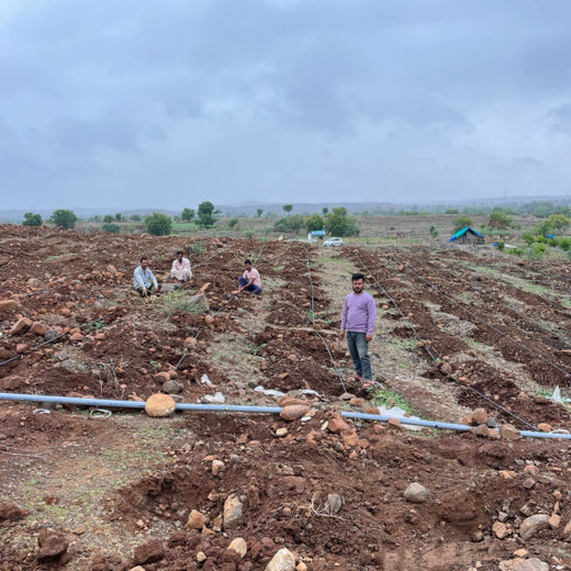 Care for Earth in Action: Himalaya’s Path to Community Forest – Planting