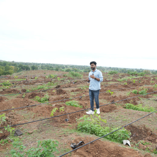 Care for Earth in Action: Himalaya’s Path to Community Forest – 6 months