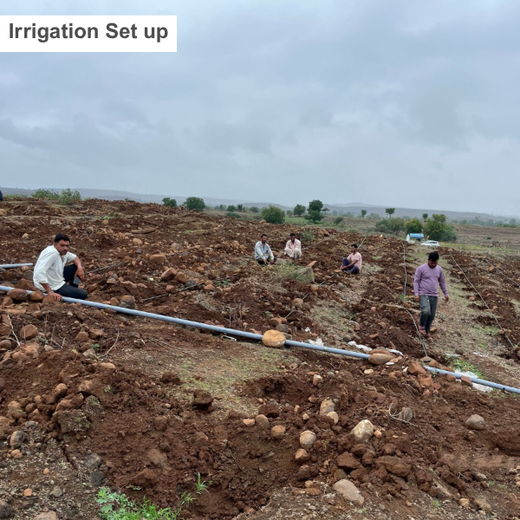 Care for Earth in Action: Himalaya’s Path to Community Forest – Planting