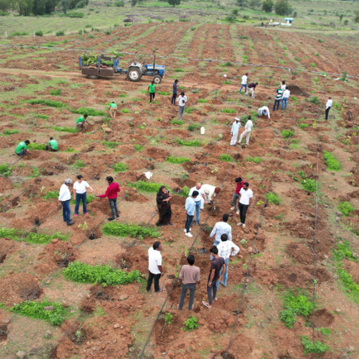 Care for Earth in Action: Himalaya’s Path to Community Forest – 6 months