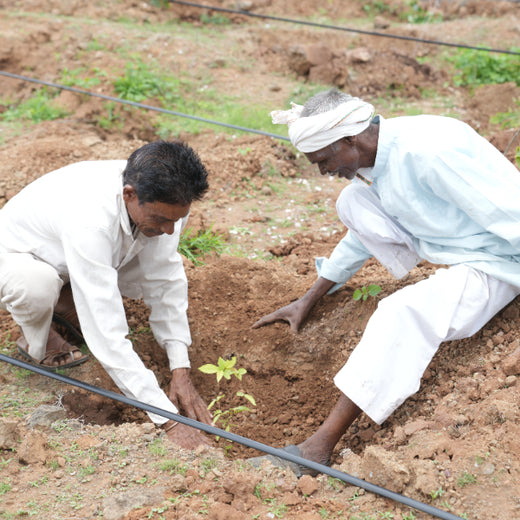 Care for Earth in Action: Himalaya’s Path to Community Forest – 6 months