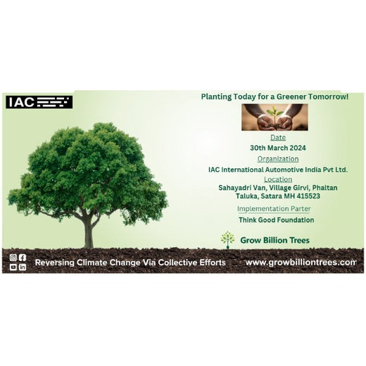 Planting Today for a Greener Tomorrow: IAC Group’s Agroforest Initiative for a Sustainable Future – Planting