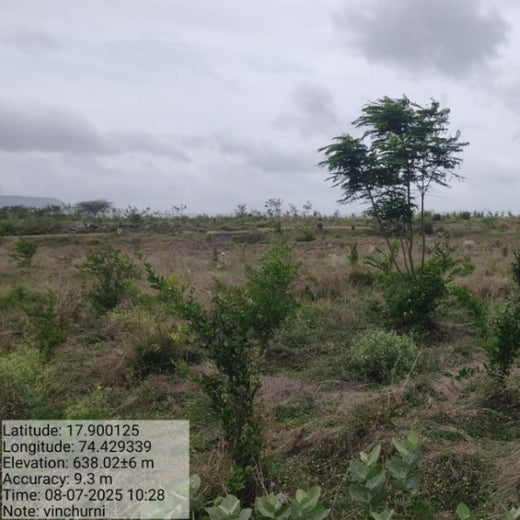 Planting Today for a Greener Tomorrow: IAC Group’s Agroforest Initiative for a Sustainable Future – 1 year