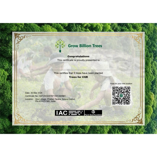 Planting Today for a Greener Tomorrow: IAC Group’s Agroforest Initiative for a Sustainable Future – Planting