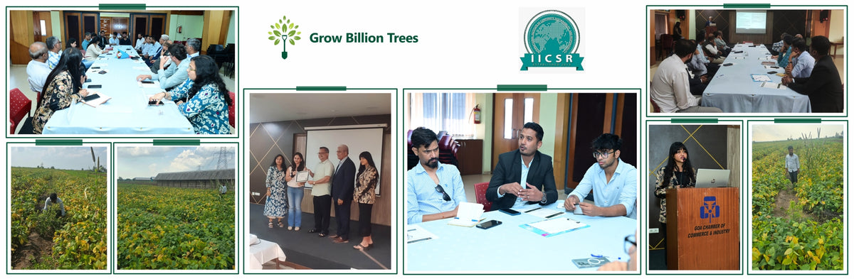 IICSR Group: Growing a Greener and More Sustainable Future
