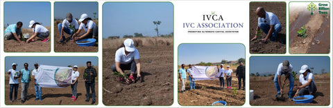 Reforesting with Purpose:  IVCA’s Agroforestry Tree Plantation Program