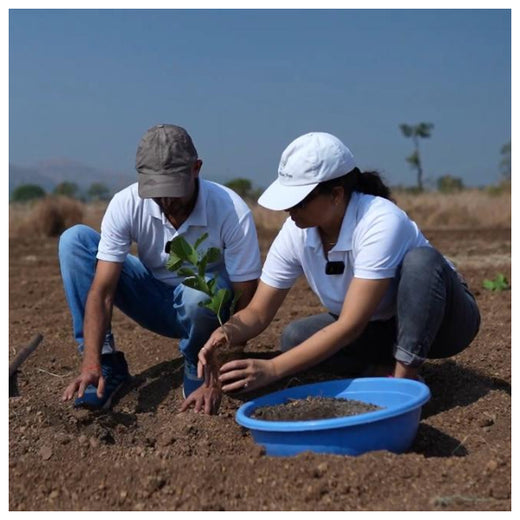 IVCA Conclave 2025: Greener Commitments, Stronger Investments – Planting