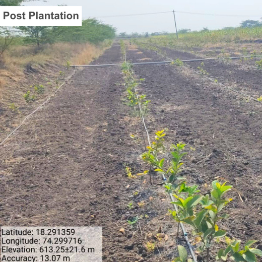 IVCA’s Green Investment Initiative: Nurturing Nature and Livelihoods – Planting