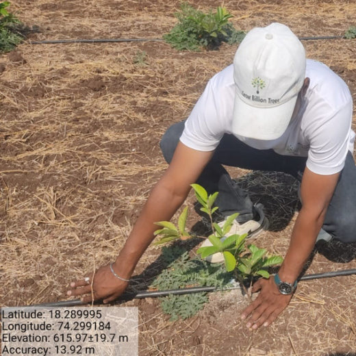 IVCA’s Green Investment Initiative: Nurturing Nature and Livelihoods – Planting
