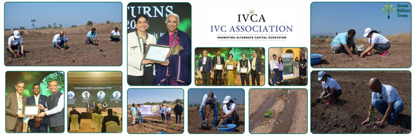 Reforesting with Purpose:  IVCA’s Agroforestry Tree Plantation Program