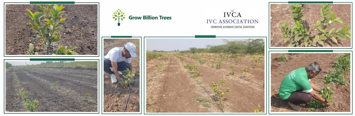 IVCA’s Green Investment Initiative: Nurturing Nature and Livelihoods