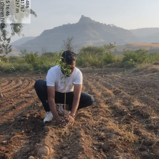 IVCA’s GreenReturns Initiative: Growing Climate-Ready Communities – Planting