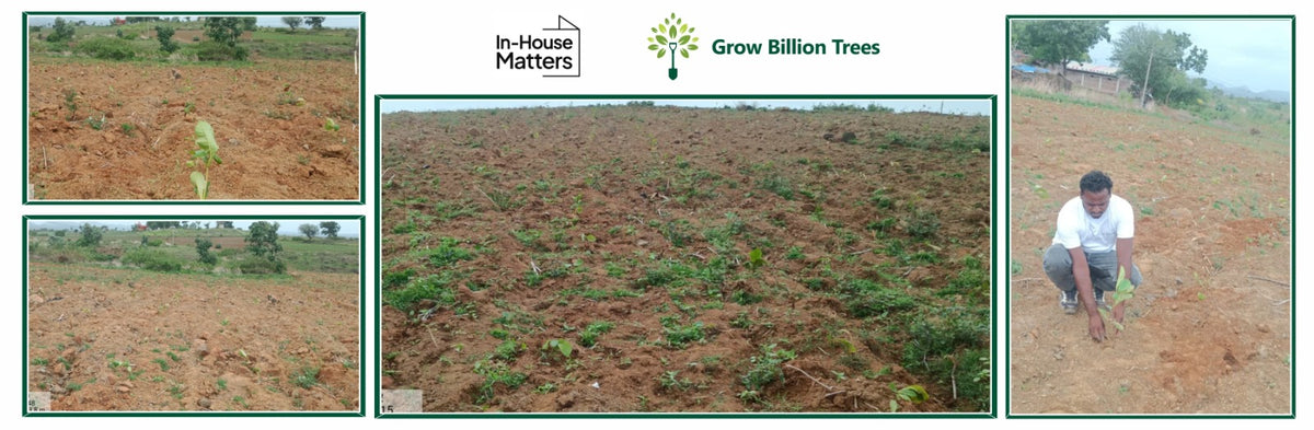 In-House Matters: A Sustainable Launch, A Lasting Impact