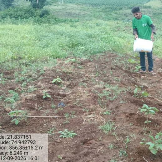 In-House Matters: A Sustainable Launch, A Lasting Impact – Planting