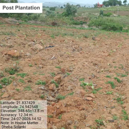 In-House Matters: A Sustainable Launch, A Lasting Impact – Planting